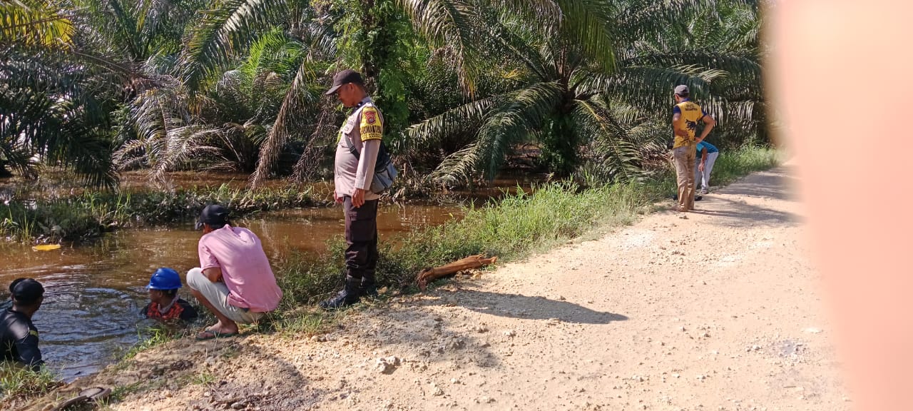 WhatsApp Image 2025-10-31 at 10.05.08