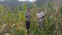 IMG-20260722-WA0015